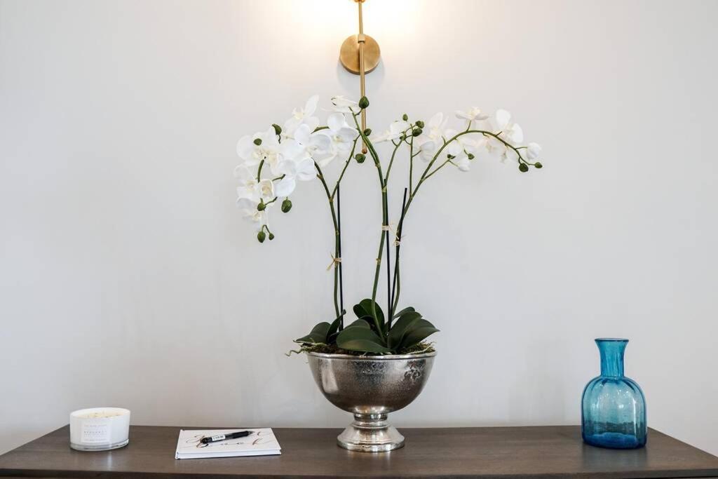Beautiful 3 Bedroom Apartment By The Sea New Quay Exteriör bild