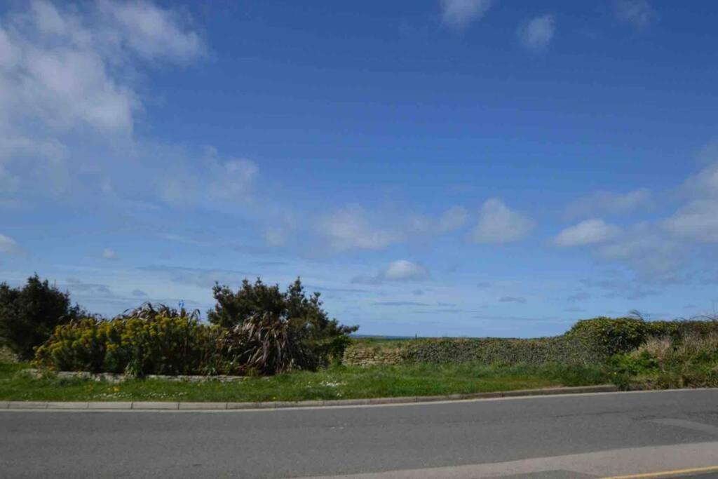 Beautiful 3 Bedroom Apartment By The Sea New Quay Exteriör bild
