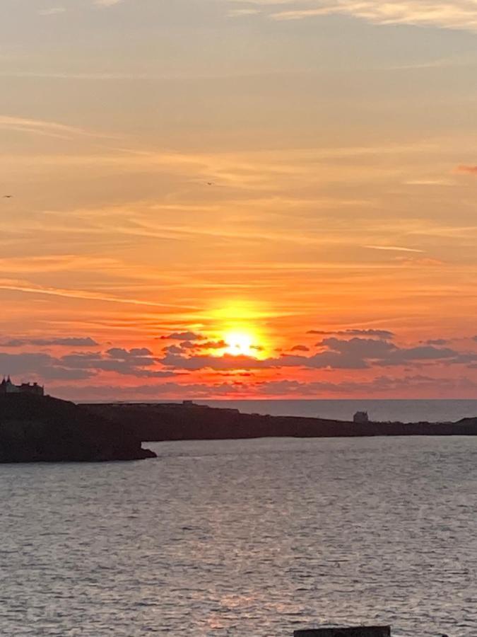 Beautiful 3 Bedroom Apartment By The Sea New Quay Exteriör bild